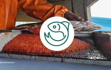 Икра Горбуши и Кеты украинского производства от Seafood Ukraine